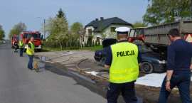 Fotka nr 2 z 11