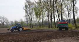zdjęcie nr 31