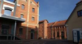 zdjęcie nr 8