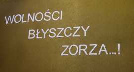 zdjęcie nr 12