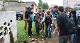 zdjęcie nr 33