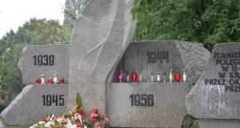 zdjęcie nr 20