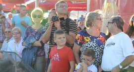 zdjęcie nr 31