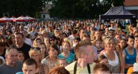 zdjęcie nr 15