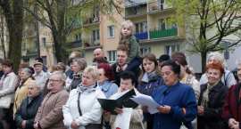 zdjęcie nr 22