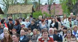 zdjęcie nr 42