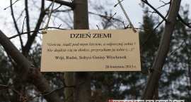 zdjęcie nr 63