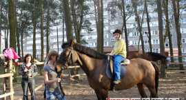 zdjęcie nr 37
