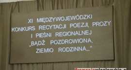zdjęcie nr 56