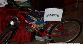 zdjęcie nr 10