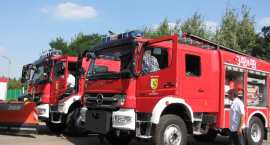 Fotka nr 2 z 3