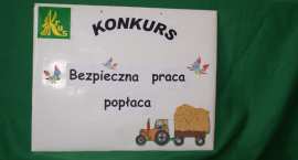zdjęcie nr 12
