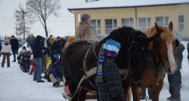 zdjęcie nr 70