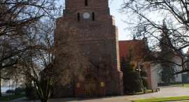 zdjęcie nr 26