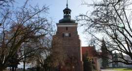 zdjęcie nr 7