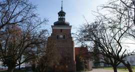 zdjęcie nr 22
