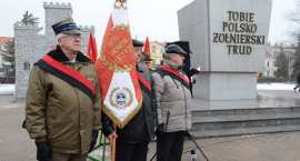 zdjęcie nr 28