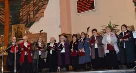 zdjęcie nr 17