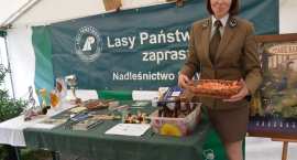 zdjęcie nr 131