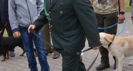zdjęcie nr 77