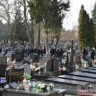 zdjęcie nr 93