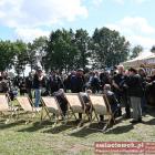 zdjęcie nr 193