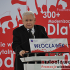 zdjęcie nr 62