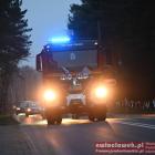 zdjęcie nr 126