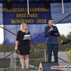 zdjęcie nr 171