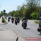 zdjęcie nr 255
