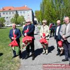 zdjęcie nr 15