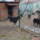 zdjęcie nr 44