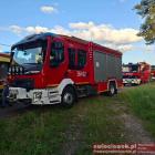 Fotka nr 4 z 5