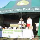 zdjęcie nr 36
