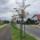 zdjęcie nr 7