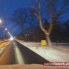 zdjęcie nr 17