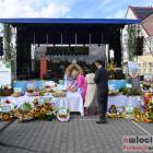 zdjęcie nr 123