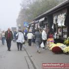 zdjęcie nr 42