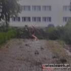 zdjęcie nr 40