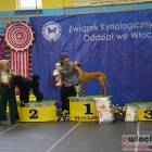 zdjęcie nr 139