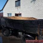 Fotka nr 3 z 14