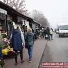 zdjęcie nr 39