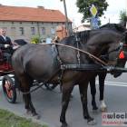 Fotka nr 0 z 148