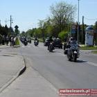 zdjęcie nr 175