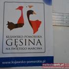 zdjęcie nr 10