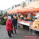 zdjęcie nr 50