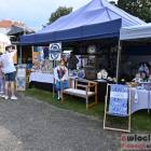 zdjęcie nr 12