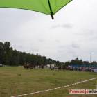 Fotka nr 0 z 141