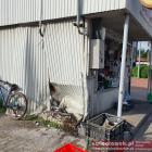 zdjęcie nr 7