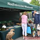 zdjęcie nr 10